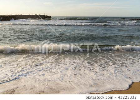 夏威夷海灘（鳥取縣） 43225332