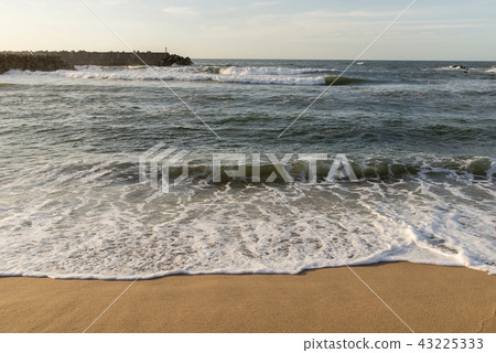 Hawaii Beach (Tottori Prefecture) 43225333