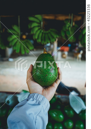 green Avocado roadside shop In Asia on the way green Avocado roadside shop In Asia on the way 43225336