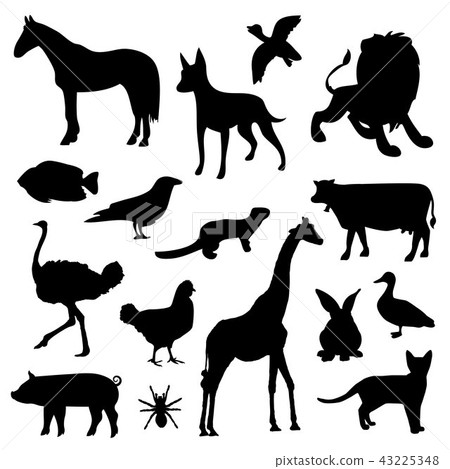 Animal Farm Pet Zoo Silhouettes Black Icon Vector 43225348