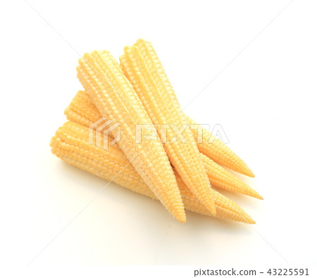 young corn 43225591