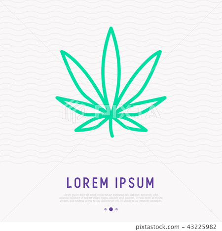 Leaf of marijuana thin line icon Leaf of marijuana thin line icon 43225982