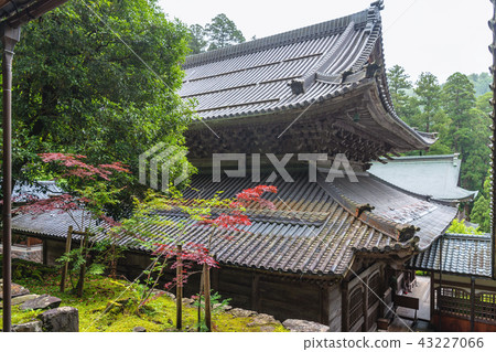 Eihei寺在雨中 Eihei寺在雨中 43227066
