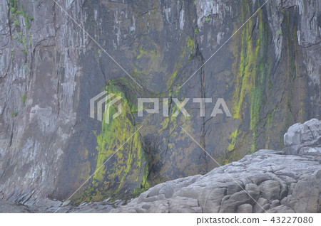 尖銳的懸崖 - 硫磺流動的痕跡（知床半島西海岸/北海道） 43227080