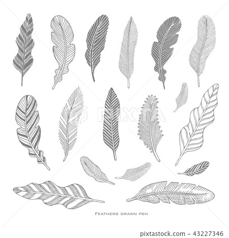 Set of hand-drawing black feathers 43227346