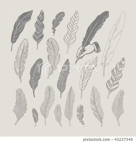 Set of hand-drawing black feathers 43227348