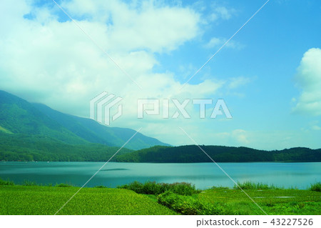 青木湖3 43227526