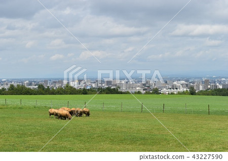 札幌的視圖 43227590
