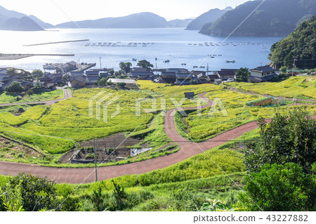 Tanada的一天 43227882