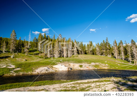Firehole River, Yellowstone National Park, Wyoming Firehole River, Yellowstone National Park, Wyoming 43228393