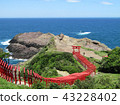 Motonosumi Inari Shrine / Yamaguchi Prefecture (Japan) Senbon Torii 43228402