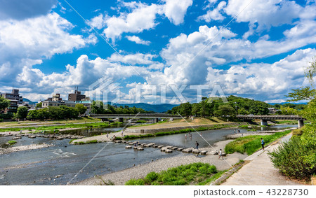京都鴨川三角洲 43228730