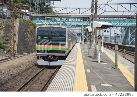 [Tokaido Line E231 Nefugawa Station] 43228993