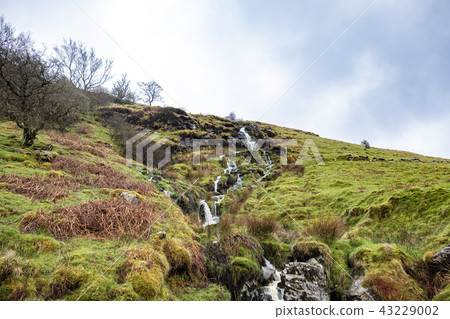 Waterfall and river at Ystad Ybytsy Estate in Wales - United Kingdom Waterfall and river at Ystad Ybytsy Estate in Wales - United Kingdom 43229002