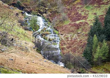 Waterfall and river at Ystad Ybytsy Estate in Wales - United Kingdom Waterfall and river at Ystad Ybytsy Estate in Wales - United Kingdom 43229010