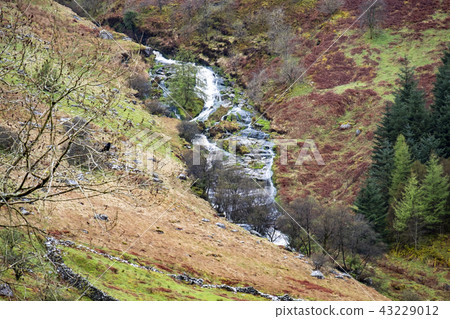 Waterfall and river at Ystad Ybytsy Estate in Wales - United Kingdom Waterfall and river at Ystad Ybytsy Estate in Wales - United Kingdom 43229012