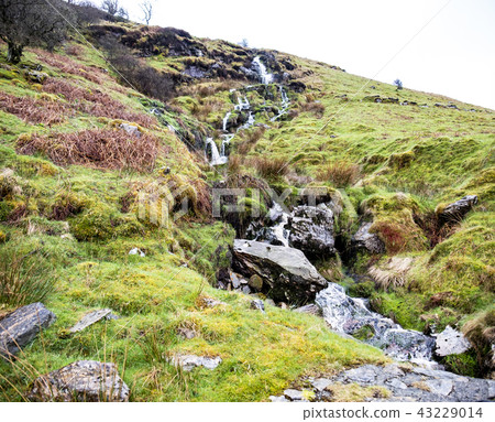 Waterfall and river at Ystad Ybytsy Estate in Wales - United Kingdom Waterfall and river at Ystad Ybytsy Estate in Wales - United Kingdom 43229014