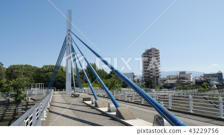 Ayumi Bridge (Cashibari Bridge) Numazu City, Shizuoka Prefecture 43229756