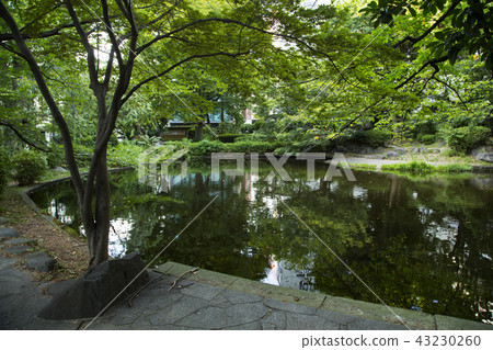 Heartwater pond of Shimizudani park Heartwater pond of Shimizudani park 43230260