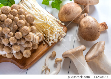 蘑菇 蘑菇 43230684