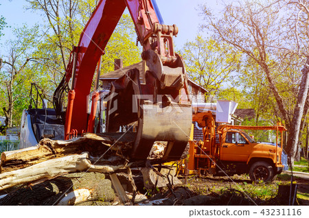 loading three pieces of wood that was cut loading three pieces of wood that was cut 43231116