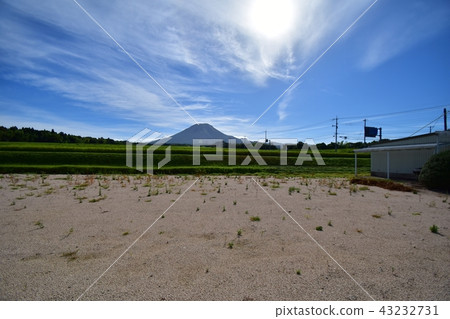 Oyama 43232731