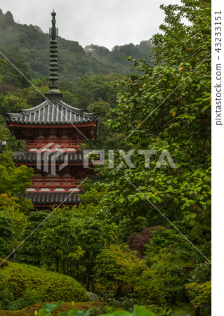 Mimuroto寺廟·一個美麗的塔,在晨霧中抽煙 Mimuroto寺廟·一個美麗的塔,在晨霧中抽煙 43233151