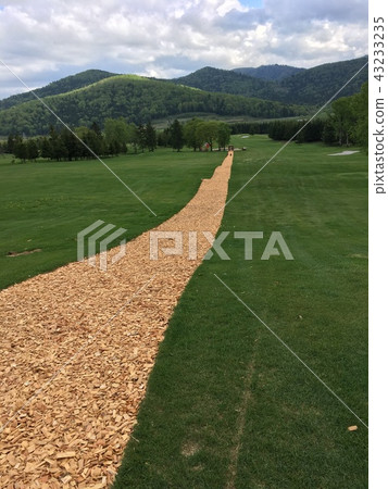 Wood chip straight path Wood chip straight path 43233235