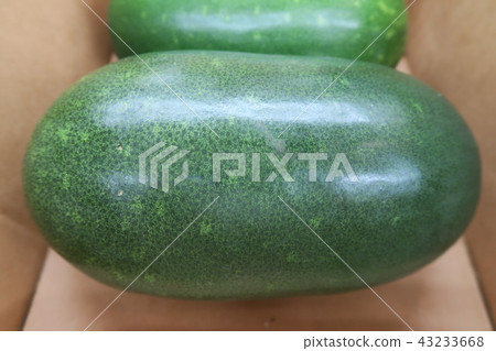 冬瓜 冬瓜 43233668