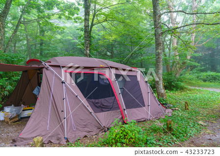 Landscape story early summer camp Landscape story early summer camp 43233723