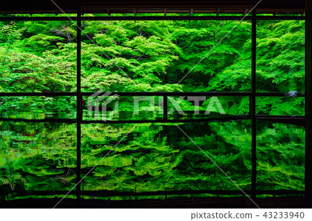 Furugen Rurikoin Furugen Rurikoin 43233940