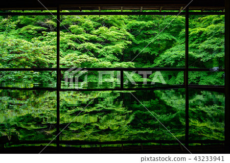 Furugen Rurikoin 43233941