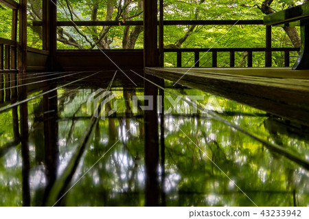 Furugen Rurikoin 43233942