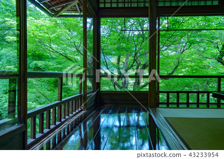 Furugen Rurikoin Furugen Rurikoin 43233954