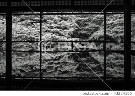 [棕褐色]新鮮綠色的Rurikoin 43234190