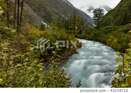 Scenic Alaska Wilderness Stream 43234718