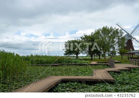 千葉縣柏市Akebonoyama農業公園 43235762