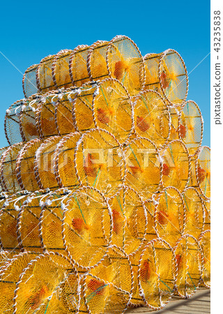 被堆積的黃色螃蟹捕手 被堆積的黃色螃蟹捕手 43235838