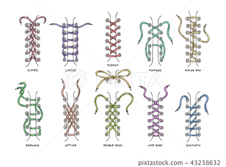 Shoelaces vector shoestring or shoe-laces and fashion accessory for footwear or footgear Shoelaces vector shoestring or shoe-laces and fashion accessory for footwear or footgear 43238632