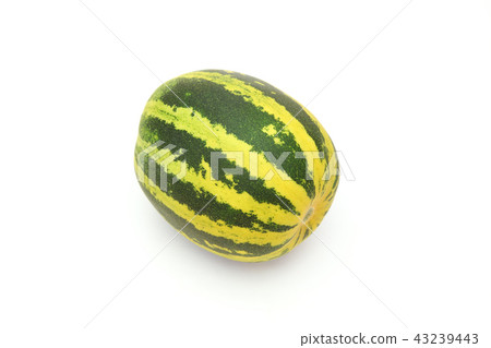 Tiger melon Tiger melon 43239443