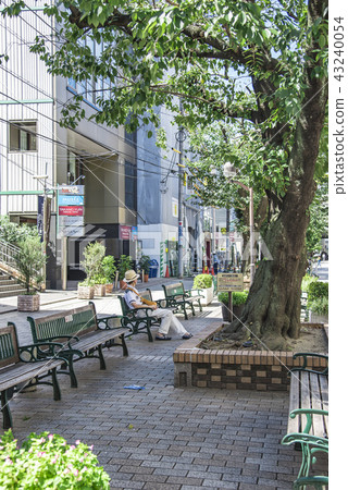 [Jiyugaoka Kujinbutsugawa Green Road] 43240054