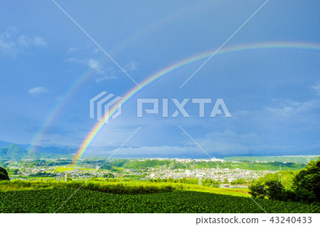 Summer double rainbow Summer double rainbow 43240433