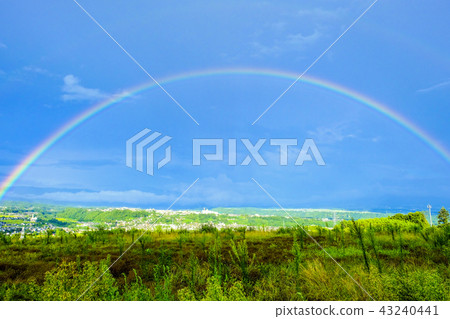 River Terrace and Rainbow Bridge 43240441
