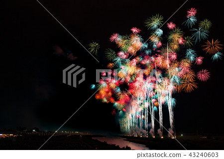 Omagari Fireworks Festival (Convention Fireworks) 43240603