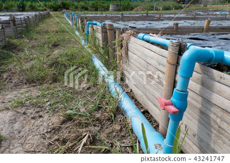water system in fertile agricultural field for planting organic crop in farm land 43241747