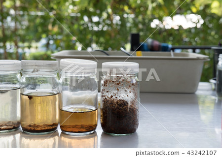 solution for assessing soil quality. fertilizer in glassware for analysis 43242107