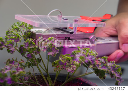 co2 measuring device for measuring photosynthesis of plant growing with artificial led light 43242117