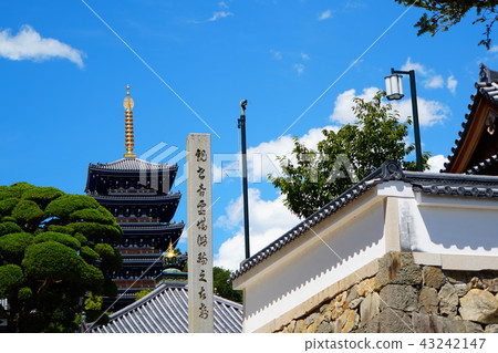 Abdominal band 43242147