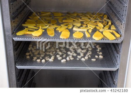 tropical fruit drying in hot oven. dried mango, longan on stainless tray 43242180
