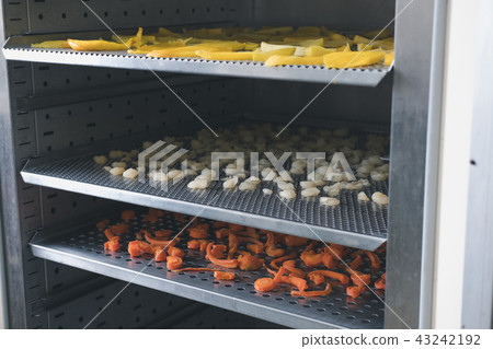 tropical fruit drying in hot oven. dried mango, carrot, longan on stainless tray 43242192